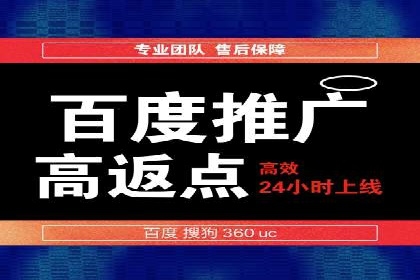 SEM推广公司案例：打造高效营销体系